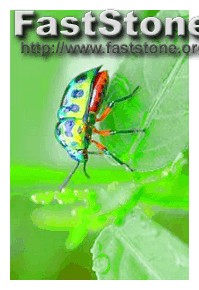 Flexispy Installation Service